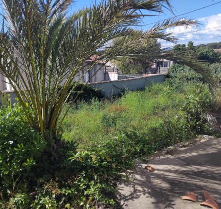 Terrain construcitble Six Fours le Brusc 218.000 euros HFN - constrcuteur de maison - Villas la Provençale
