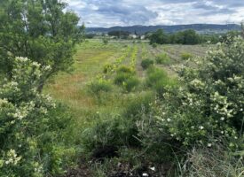 Maison neuve 5 pièces – Secteur recherché, au calme proche toutes commodités