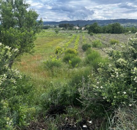 Maison neuve 5 pièces  – Secteur recherché, au calme proche toutes commodités - constrcuteur de maison - Villas la Provençale