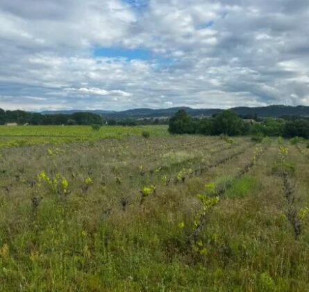 Maison neuve 5 pièces  – Secteur recherché, au calme proche toutes commodités - constrcuteur de maison - Villas la Provençale