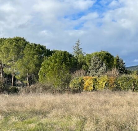Belle parcelle sur Lauris - constrcuteur de maison - Villas la Provençale