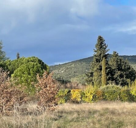 Belle parcelle sur Lauris - constrcuteur de maison - Villas la Provençale