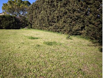 TERRAIN CONSTRUCTIBLE MONTEUX  HORS LOTISSEMENT DIVISION PARCELLAIRE - constrcuteur de maison - Villas la Provençale