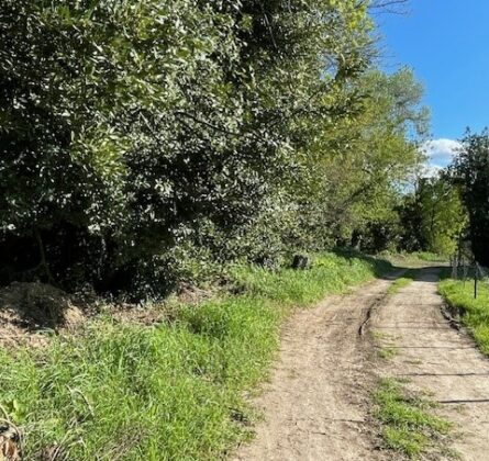 Maussane-les-Alpilles – Terrain d’exception au cœur de la nature - constrcuteur de maison - Villas la Provençale