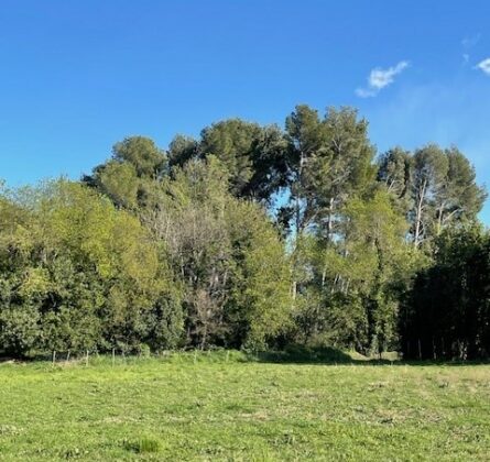 Maussane-les-Alpilles – Terrain d’exception au cœur de la nature - constrcuteur de maison - Villas la Provençale