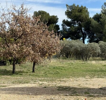 terrain à bâtir MERINDOL - constrcuteur de maison - Villas la Provençale