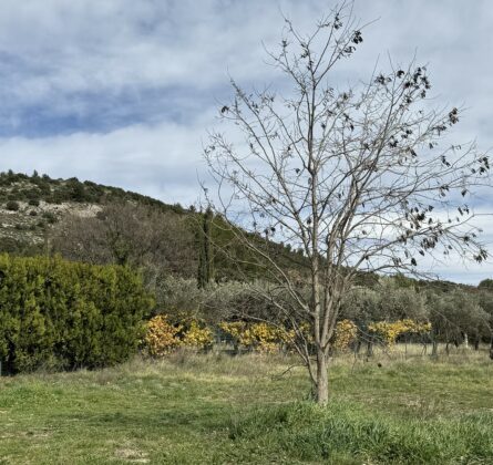 terrain à bâtir MERINDOL - constrcuteur de maison - Villas la Provençale