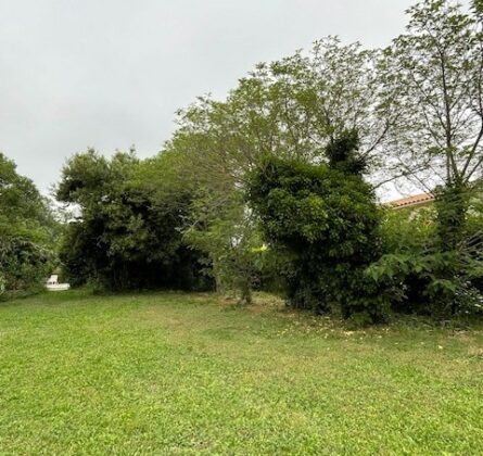 Superbe terrain constructible de 920 m² à Salon-de-Provence - constrcuteur de maison - Villas la Provençale