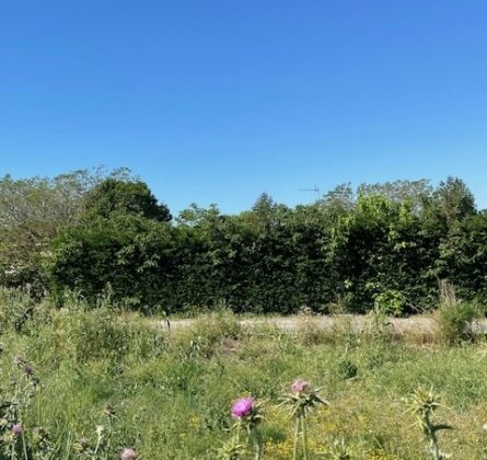 Terrain constructible à Berre-l’Étang - constrcuteur de maison - Villas la Provençale