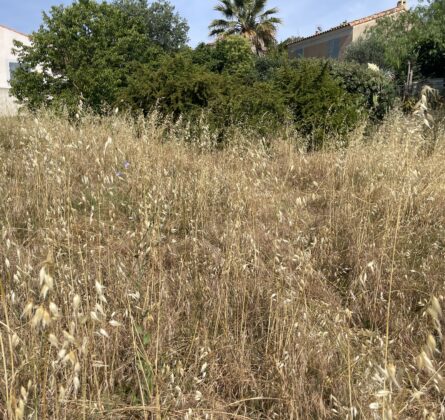 TERRAINS À BÂTIR – MARSEILLE 11ÈME – LES ACCATES - constrcuteur de maison - Villas la Provençale