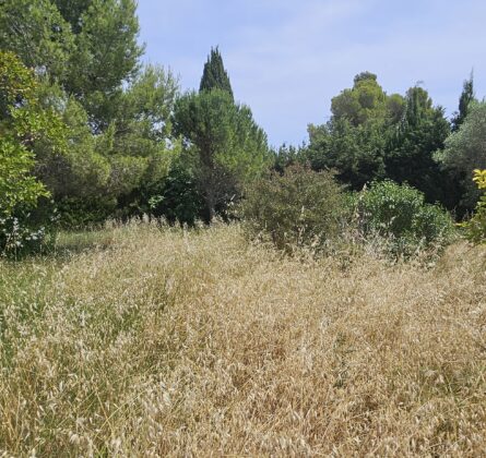 Terrain à saisir - constrcuteur de maison - Villas la Provençale