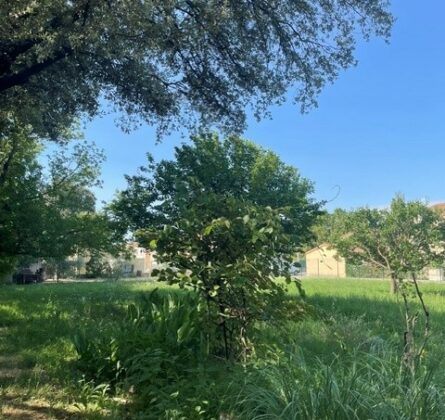 Terrain à bâtir de 400 m² – Salon-de-Provence – Quartier recherché Les Aires de La Dime - constrcuteur de maison - Villas la Provençale