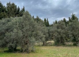 LAMBESC – Terrain à bâtir de 512 m² – 199 000 €