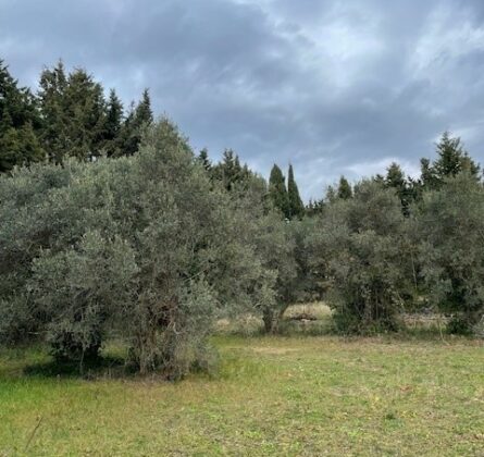 LAMBESC – Terrain à bâtir de 512 m² – 199 000 € - constrcuteur de maison - Villas la Provençale
