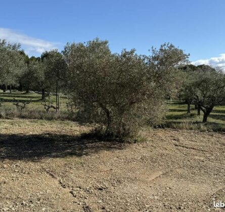 terrain à bâtir MALLEMORT - constrcuteur de maison - Villas la Provençale