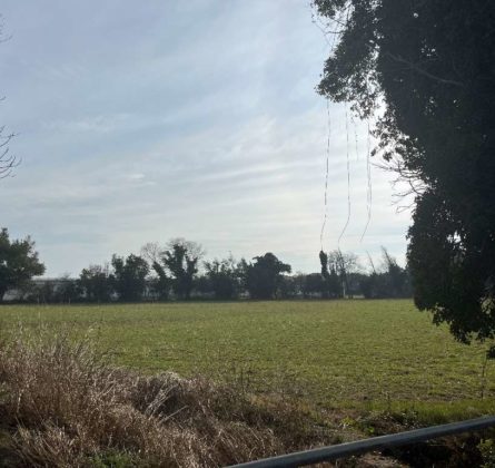 NOUVEAU TERRAIN CONSTRUCTIBLE - constrcuteur de maison - Villas la Provençale