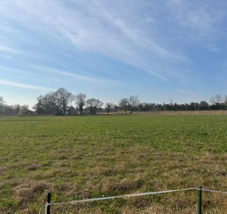 NOUVEAU TERRAIN CONSTRUCTIBLE - constrcuteur de maison - Villas la Provençale