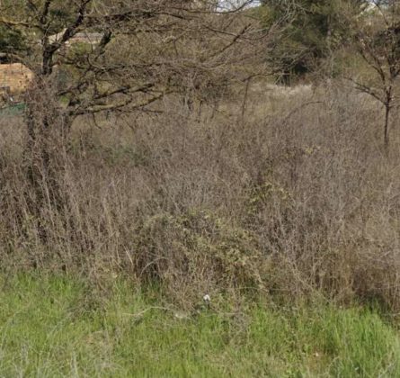 TERRAIN DE 1000 M² LA BOUILLADISSE - constrcuteur de maison - Villas la Provençale