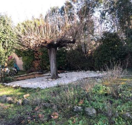 Terrain avec permis de construire Lambesc - constrcuteur de maison - Villas la Provençale
