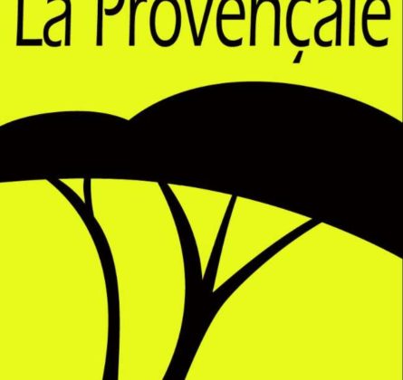 Terrain Salon de Provence - constrcuteur de maison - Villas la Provençale