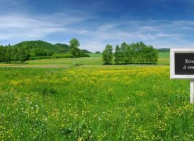 CADENET TERRAIN 800M2