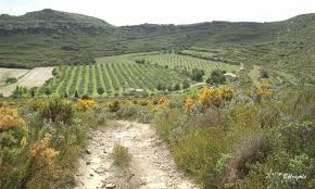 MAGNIFIQUE TERRAIN PLAT ET VIABILISE PELISSANNE - constrcuteur de maison - Villas la Provençale
