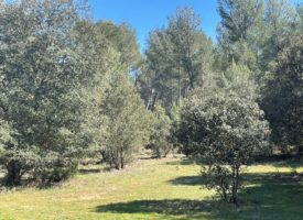 Salon de Provence,  très belle parcelle au calme et arborée