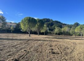 Terrain à Bâtir ROGNES