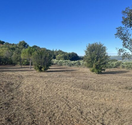 Terrain à Bâtir ROGNES - constrcuteur de maison - Villas la Provençale