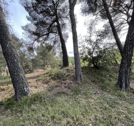 Projet terrain+maison - constrcuteur de maison - Villas la Provençale