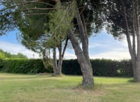Cazan, belle parcelle de terrain de 540 m² sans aucunes nuisances