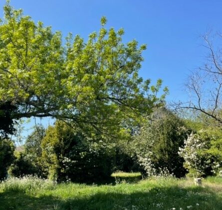 A 15 mn à pied du centre ville de Salon de Provence, votre projet de 98 m² habitalble - constrcuteur de maison - Villas la Provençale