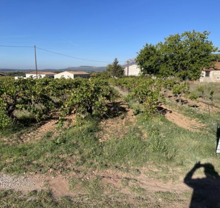 Projet de construction Pourrières - constrcuteur de maison - Villas la Provençale