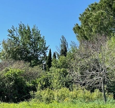 Charmante maison à Eyguières, au cœur d’un cadre idyllique - constrcuteur de maison - Villas la Provençale