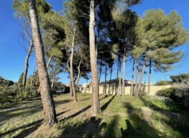 Terrain à bâtir