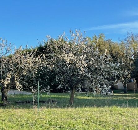 Détachement d’une parcelle de 1000 m² - constrcuteur de maison - Villas la Provençale