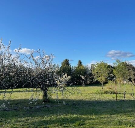 Détachement d’une parcelle de 1000 m² - constrcuteur de maison - Villas la Provençale