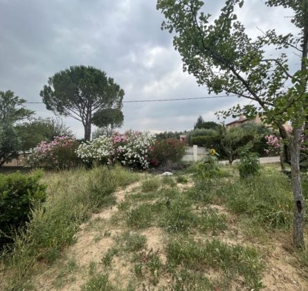 Terrain Pertuis - constrcuteur de maison - Villas la Provençale