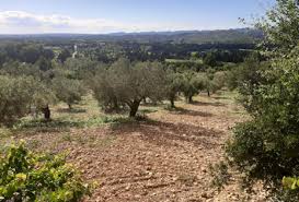 Votre future maison à Mouriès - constrcuteur de maison - Villas la Provençale