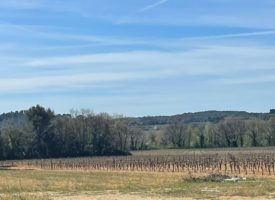 545 m² à La Motte d’Aigues