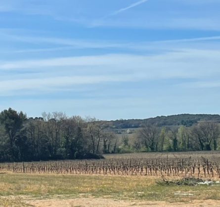 545 m² à La Motte d’Aigues - constrcuteur de maison - Villas la Provençale