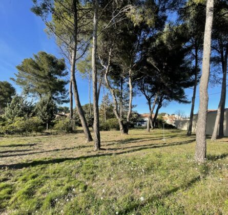 Projet de construction SAINT MITRE LES REMPARTS - constrcuteur de maison - Villas la Provençale
