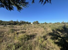 Projet Neuf d’un MAS PROVENCALE