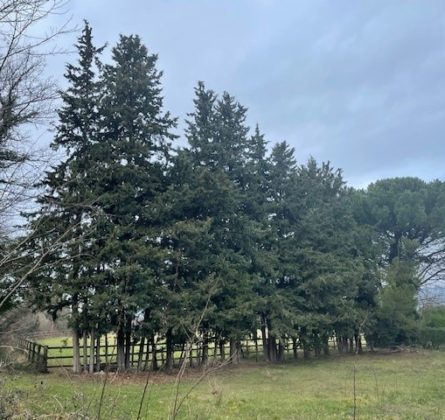 Belle parcelle de terrain de 2000 m² nichée dans la nature - constrcuteur de maison - Villas la Provençale