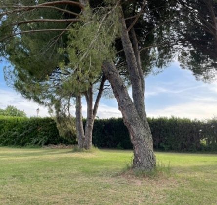 Dans un havre de paix, belle opportunité pour ce terrain verdoyant - constrcuteur de maison - Villas la Provençale