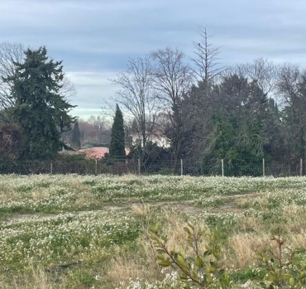 A Saint Cannat, au cœur d’un quartier résidentiel et familial - constrcuteur de maison - Villas la Provençale