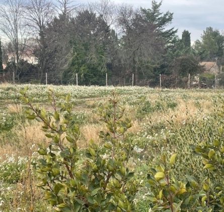 A Saint Cannat, au cœur d’un quartier résidentiel et familial - constrcuteur de maison - Villas la Provençale