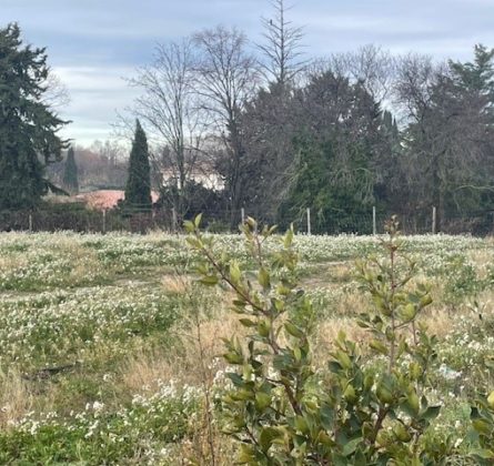 A Saint Cannat, au cœur d’un quartier résidentiel et familial - constrcuteur de maison - Villas la Provençale