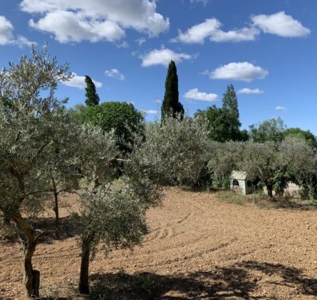 RARE sur la commune de VENTABREN terrain à bâtir de 1000m² - constrcuteur de maison - Villas la Provençale