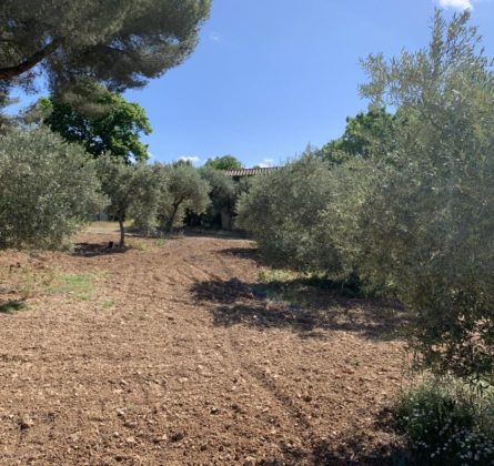 RARE sur la commune de VENTABREN terrain à bâtir de 1000m² - constrcuteur de maison - Villas la Provençale